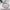 Pearlescent Barbie Pink